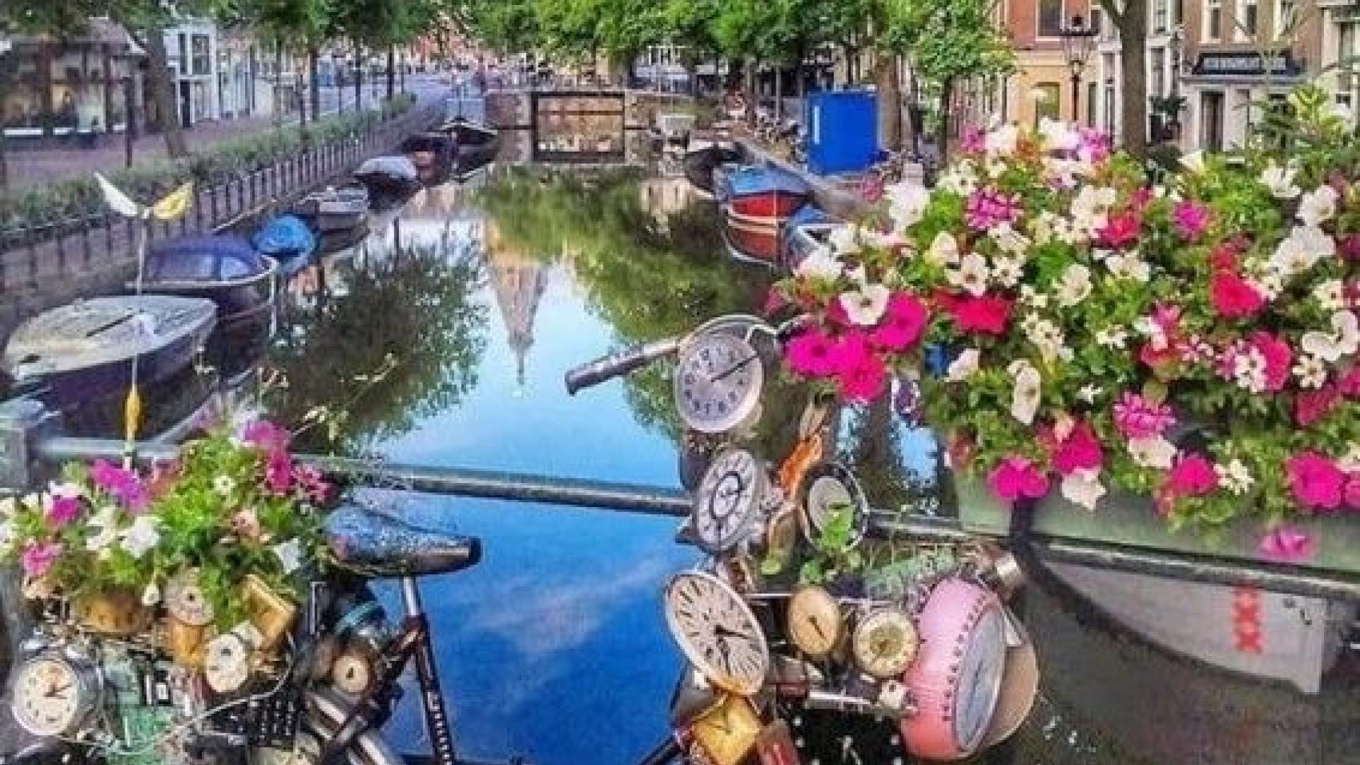 Holandsko (Amsterdam, Delft, Haag) a květinový park Keukenhof