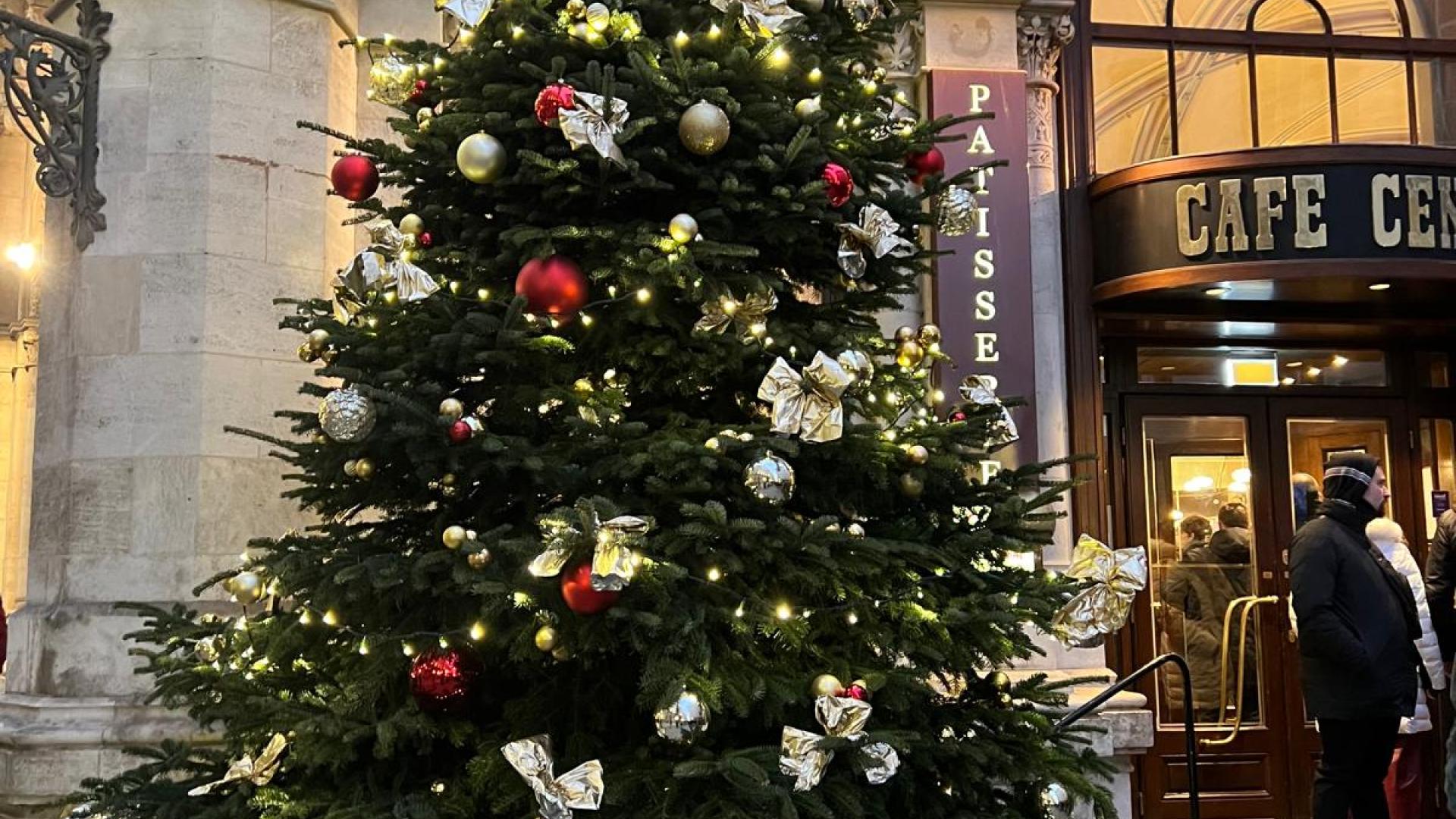 Новый год в Вене 2026