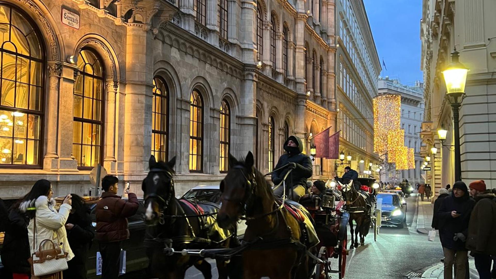 Новый год в Вене 2026