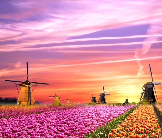 Голландия и Королевский парк цветов