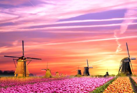 Holandsko a Královský květinový park