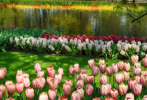 Holandsko a Královský květinový park