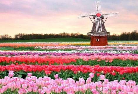 Holandsko (Amsterdam, Delft, Haag) a květinový park Keukenhof