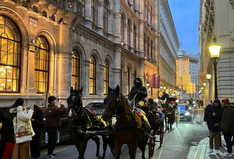 Новый год в Вене 2026